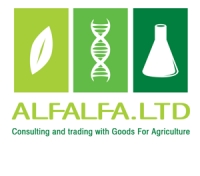 ALFALFA.LTD