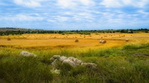 Agricultural Land Prices in Bulgaria rise 14.6% in 2017
