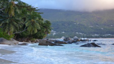 Bulgaria Air Launches Joint Flights to Caribbean, Seychelles and Maldives with German Condor
