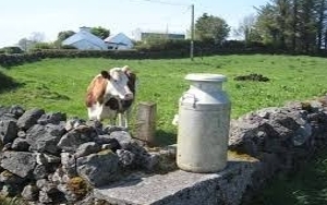 Bulgarian milk producers to get EUR 5.8 M in EU support