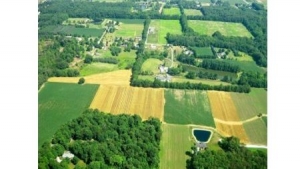 The price of agricultural land in 2018 was 7.9% higher than in 2017