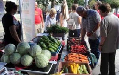 Sales of Food, Cigarettes, Beverages, Medicines, Clothes Increase in July, 2016, Compared to July, 2015