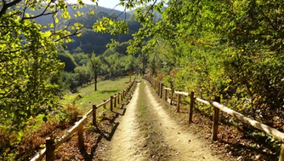 Bulgarian Eco Paths for Tourism (Bulgarian)